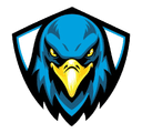 Hawk Tracker
